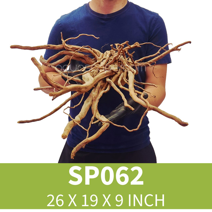 Manzanita Driftwood MZ061