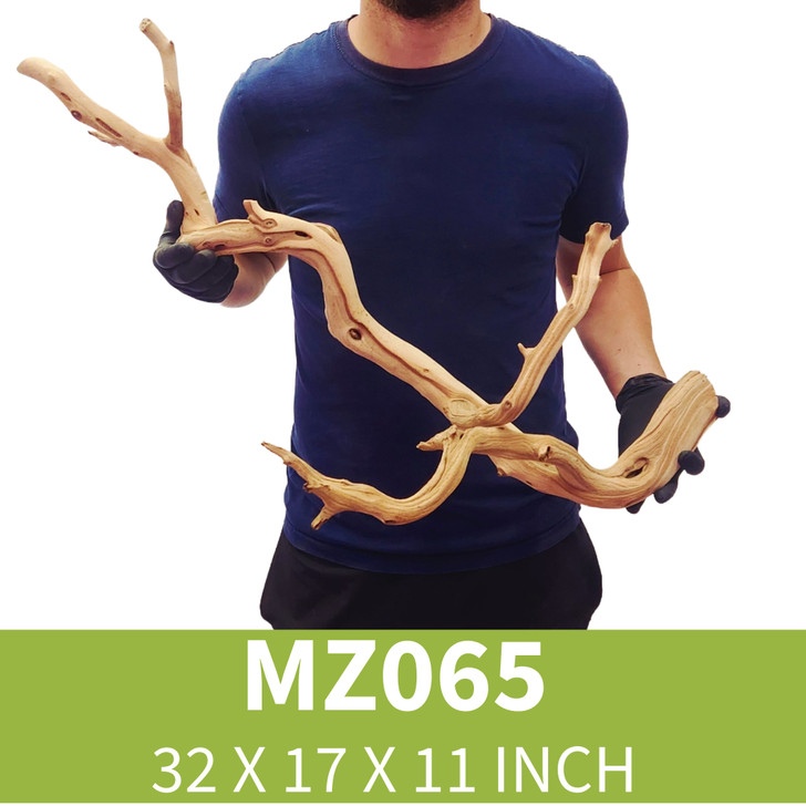 Manzanita Driftwood MZ065
