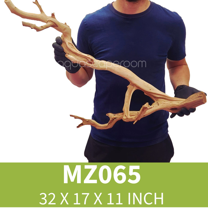 Manzanita Driftwood MZ065