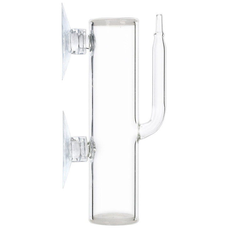 ISTA Shrimp Egg Hatching Glass Tumbler