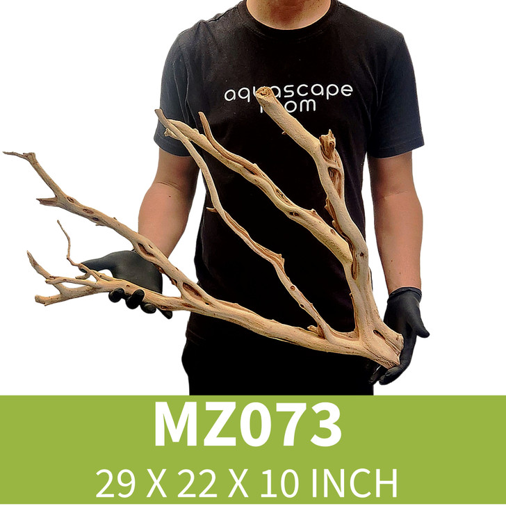 Manzanita Driftwood MZ073
