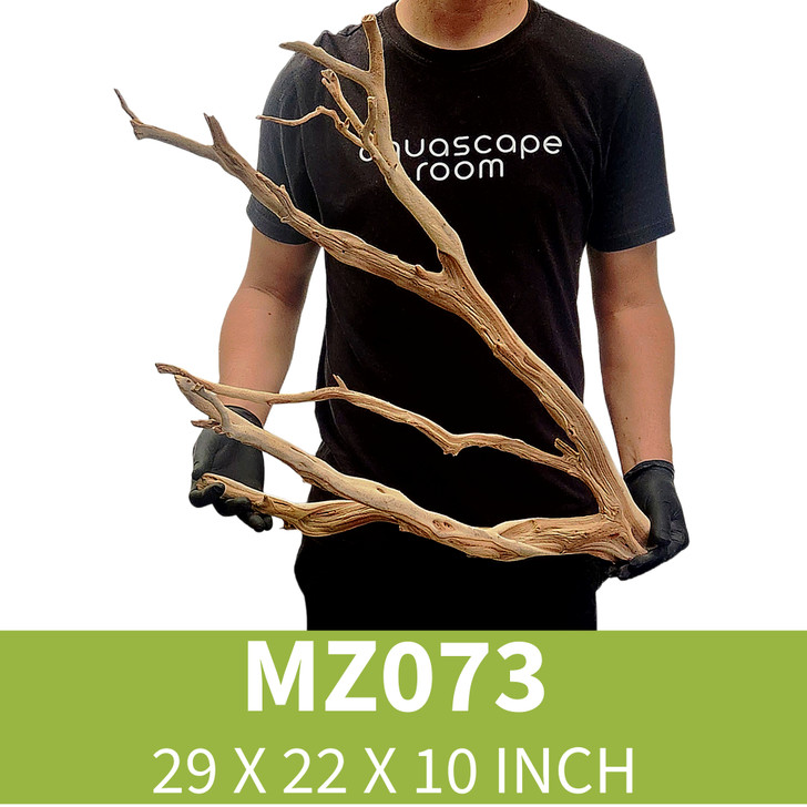 Manzanita Driftwood MZ073