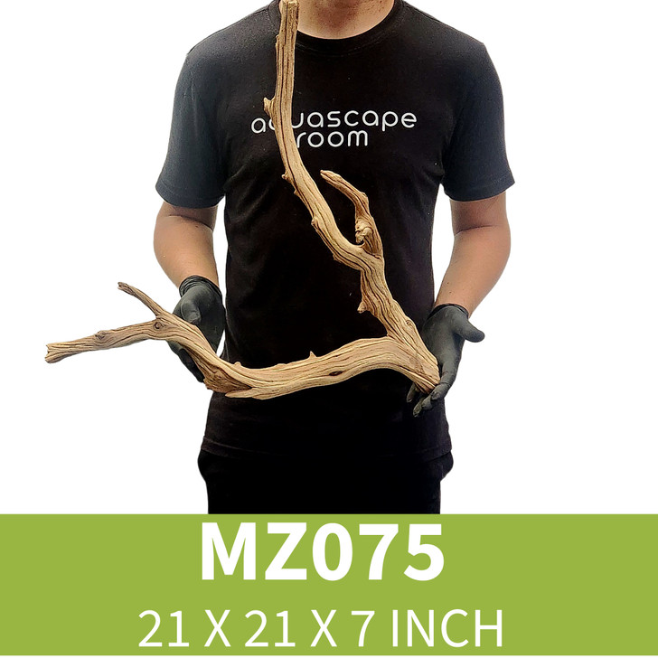 Manzanita Driftwood MZ075