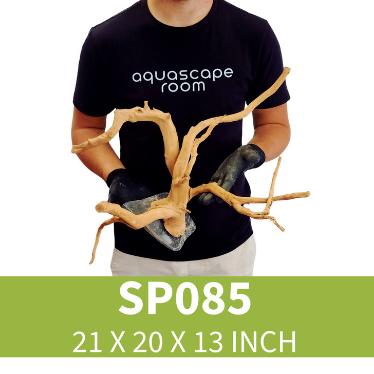 Spider Driftwood  On Slate SP085