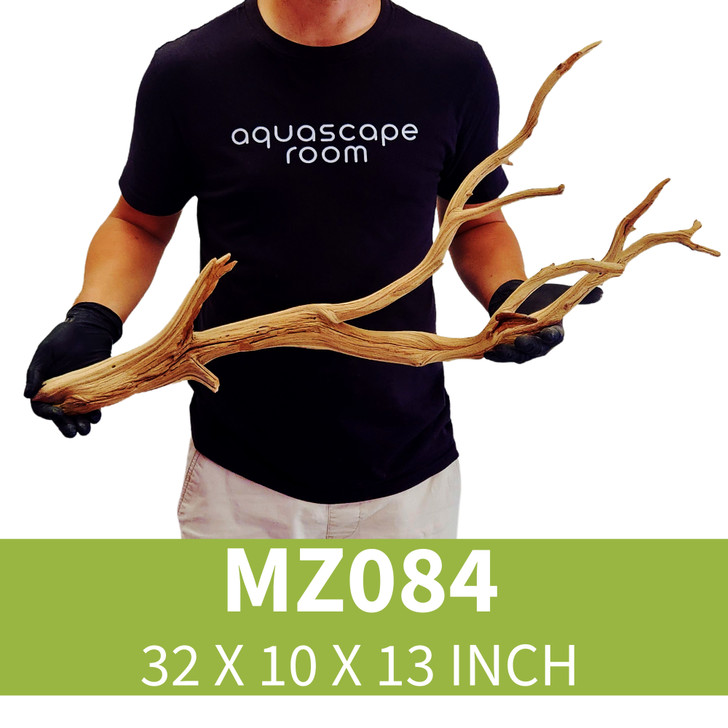 Manzanita Driftwood MZ084