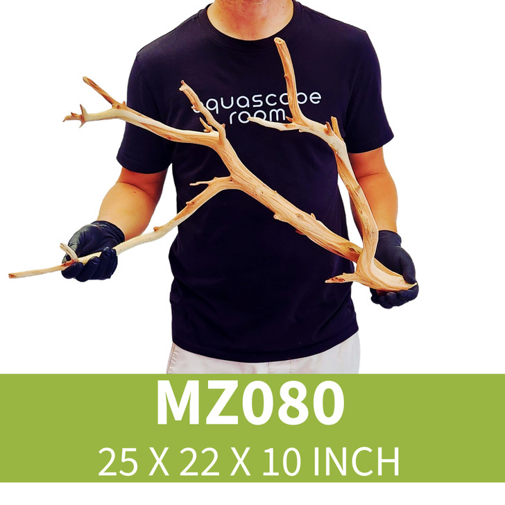 Manzanita Driftwood MZ080