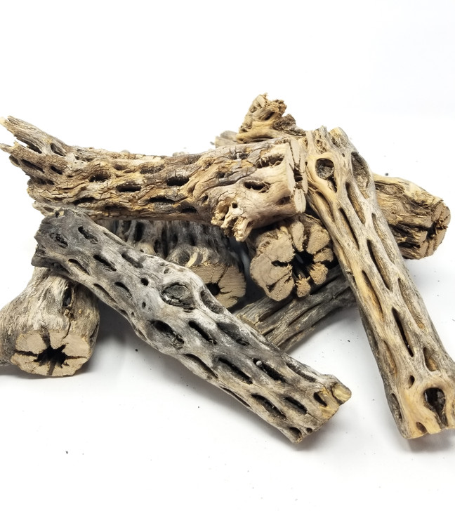 Cholla Wood