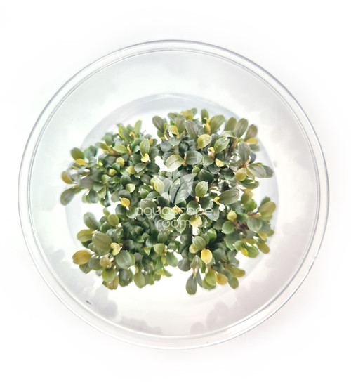 20230625_200429__69189.