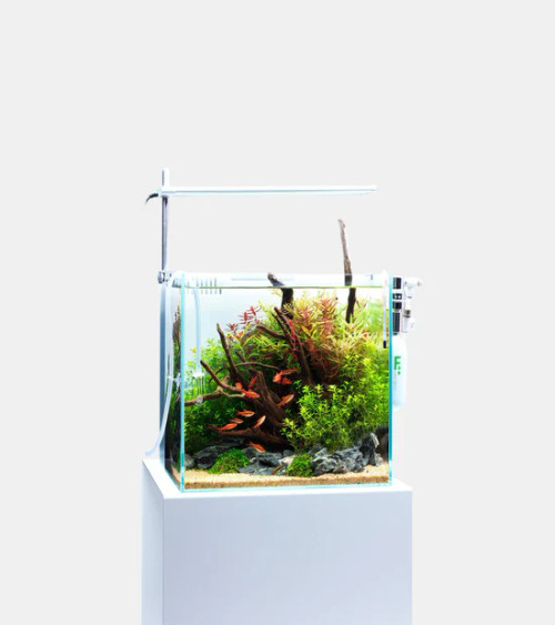 DOOA SOL Stand RGB – Premium LED Lighting for Small Aquariums