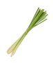 Organic Lemongrass Essential Oil