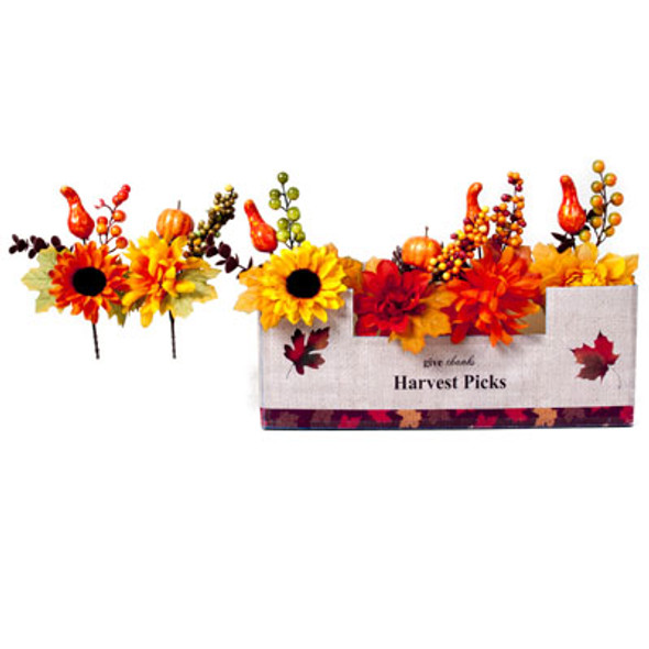 HARVEST FLORAL PICK 9IN 6AST** W/PUMPKIN OR GOURD 36PC PDQ HARVEST HT