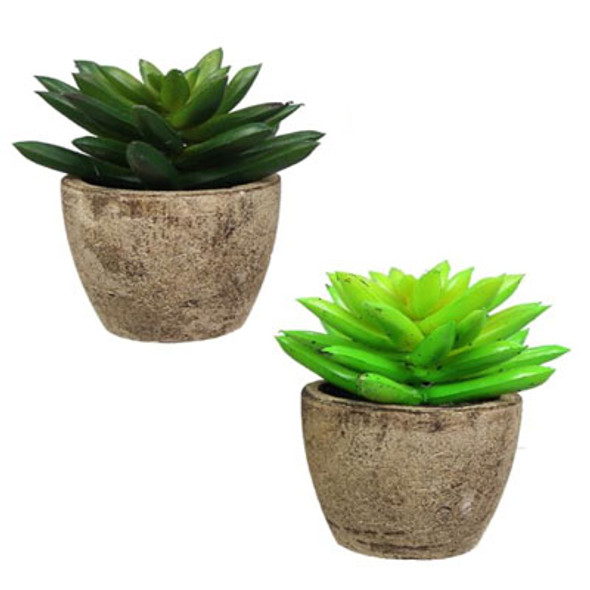 PLANT ARTIFICIAL SUCCULENT 2ASST 3X3X4 ($2.50)