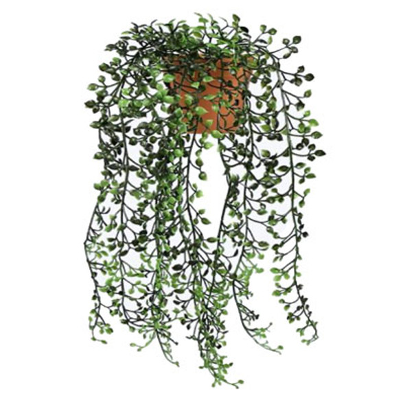 PLANT ARTIFICIAL CREEPER 7.5X8X17.5 ($7.50)