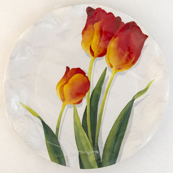 DINNER PAPER PLATES 10PK 10.5IN TULIP LARGE *7.50*