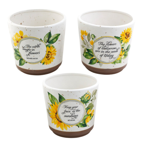 PLANTERS SUNFLOWER CERAMIC 3ASST 6.5X6.5X6.25 ($8.00) PLANTERS SUNFLOWER CERAMIC 3ASST 6.5X6.5X6.25 ($8.00)