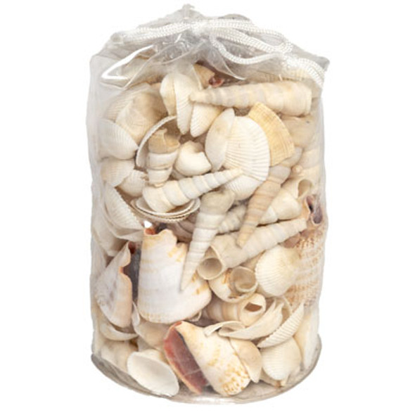 SHELLS 26OZ BEACH ASSORTED MIXDECORATIVE *8.99* PVC BAG SHELLS 26OZ BEACH ASSORTED MIXDECORATIVE *8.99* PVC BAG