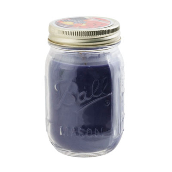 CANDLE 12OZ FRUIT MEDLEY MASON JAR