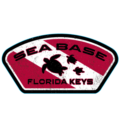 Sticker Mini Dive Flag Turtle