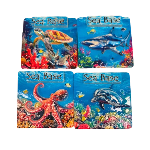 4 Assorted Sea Life Magnets