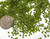 5000 2mm Olivine Round (x48)