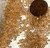 5000 2mm Crystal Golden Shadow Round (x48)