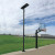 Court Vision Solar Powered Court Light 