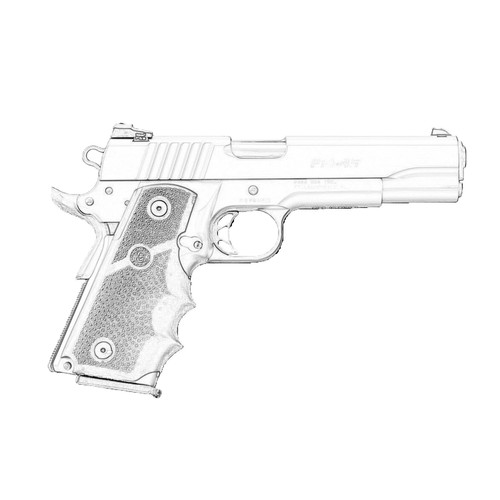Para-Ornance P-14, .45ACP, 14 Rd: Para-Ornance P-14, .45ACP, 14 Rd: