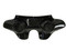 Harley Davidson Rider Batwing Fairing  Back View