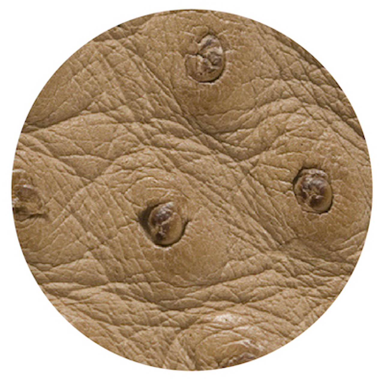 Ostrich Skin — Tandy Leather, Inc.