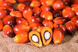 What Is Palm Kernel Oil (for Beauty ...