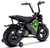 Kids 24v 250 Watt Power Green Ride On Monkey Motor Bike