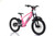 Girls Pink Revvi 20 Inch Wheel 10+ Electric Balance Stunt Bicycle