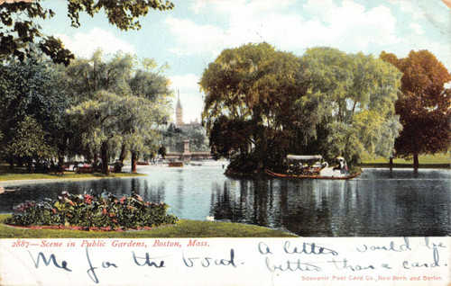 Scene in Public Gardens Boston Mass 1906 Postcard 