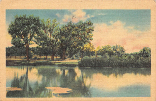 Postcard Nature seen overviewing pond and trees 