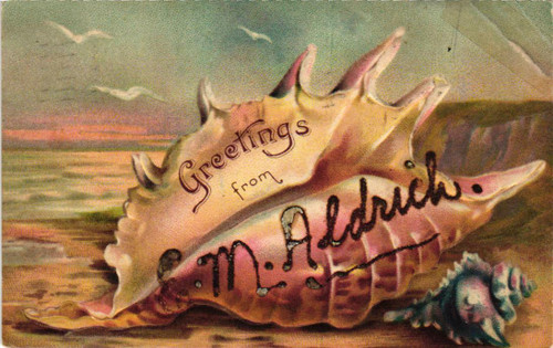 Greetings From Conch Shell Printed in Germany Post Mark 1911 Postcard 