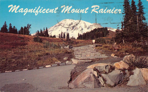 Postcard Mount Rainer Washington 