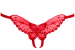 Sheer butterfly appliqued crotchless panty