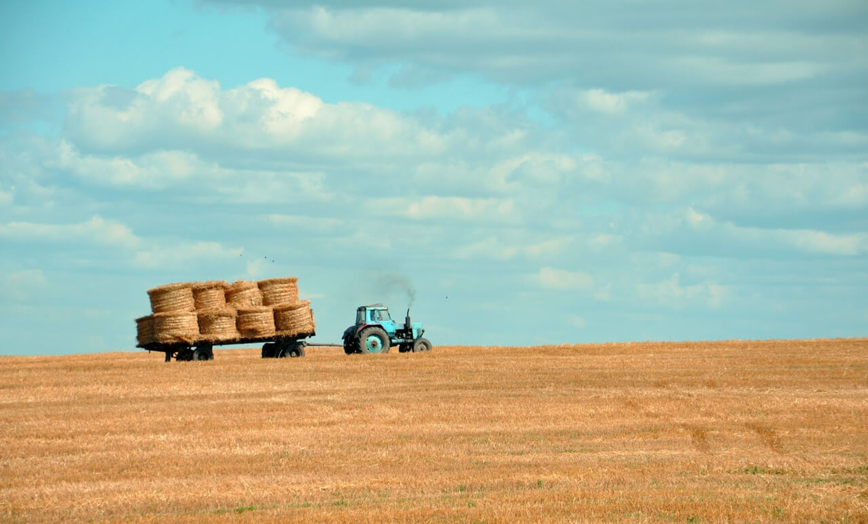 ​The Decline in Nutrient Content of Our Food and the Role of Supplements: A Growing Consideration