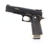 WE Tech Hi-Capa Force T-Rex 5.1 GBB Pistol in Black With Markings (WE-H001-WET-BK) WE Tech Hi-Capa Force T-Rex 5.1 GBB Pistol in Black With Markings (WE-H001-WET-BK)