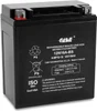 YTX16-BS -12 Volt 18 AH, Rechargeable Maintenance Free SLA AGM Motorcycle Battery Replace for FTH16-BS-1, FTZ16-BS-1