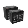 2 Pack 12v 55ah Group 22NF Chauffeur Mobility Scooter Viva Power 645 Columbia 960 990 Tractor Drive Gladiator GT G694 GT807 GT808 Medical Sunfire Gladiator Denali Rascal P200 P327 XL