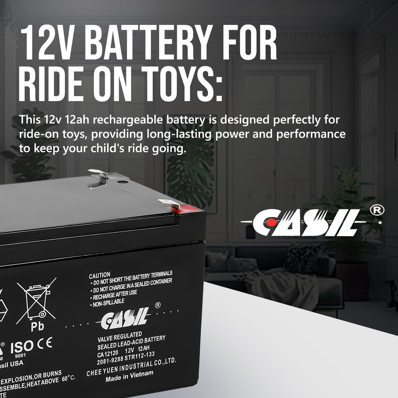 Casil CA12120 12v 12ah for Altronix AL1024ULXPD4 12V 12Ah Replacement Alarm Battery