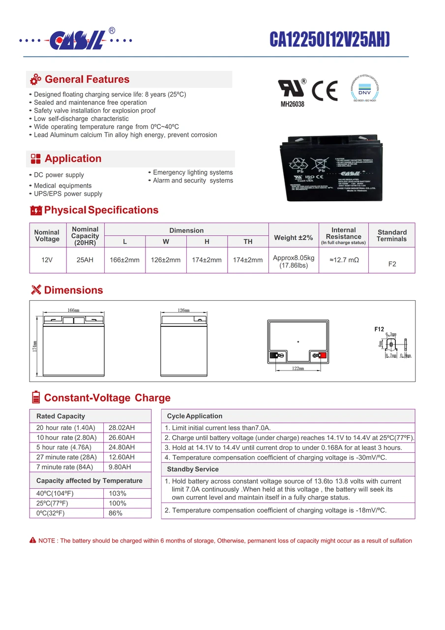 Simplex 2081-9287 Fire Alarm Control Panel Battery, Casil 12V 25Ah
