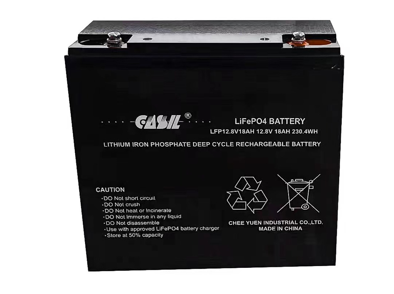 12V 12Ah LiFePO4 Lithium Iron Phosphate LiFePo4 Battery Pack, 4000+ Deep  Cycle Built in BMS