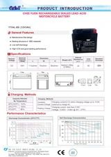 YTX4L-BS 12V 3AH 50 CCA Power Sport SLA Battery - Casil Battery