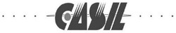 Casil Batteries USA