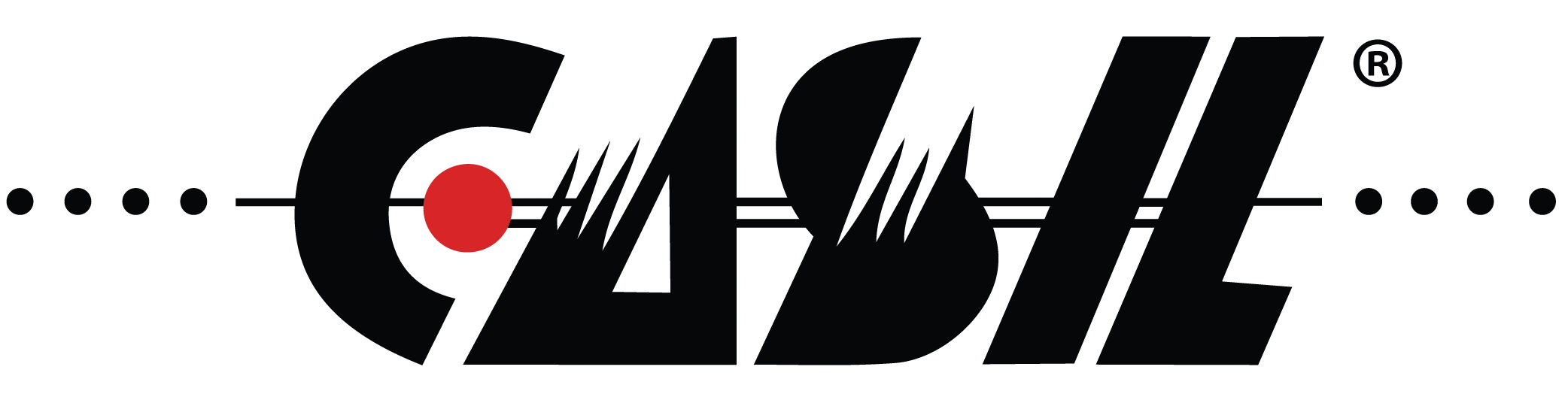 Casil Batteries USA