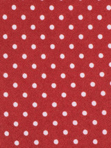 boys red polka dot tie