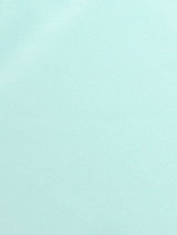 Neo mint dickie bow