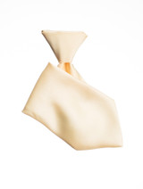 Gold elasticated tie